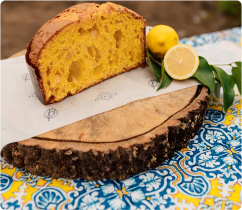 Amalfi Panettone
